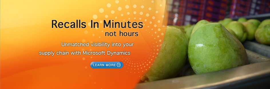 Consult with an ERP & MS Dynamics Expert